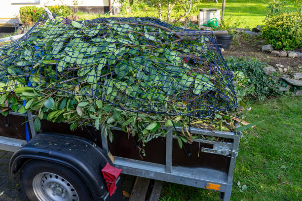 Moving and Downsizing Cleanouts in Bradley, WV